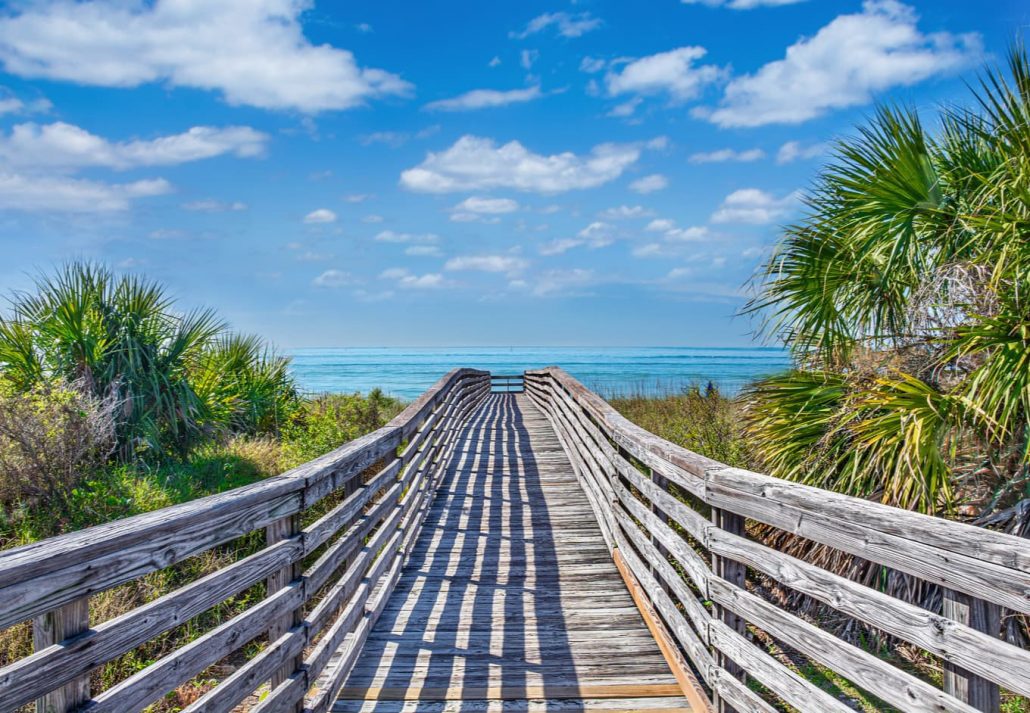 Honeymoon Island State Park, Florida, USA.