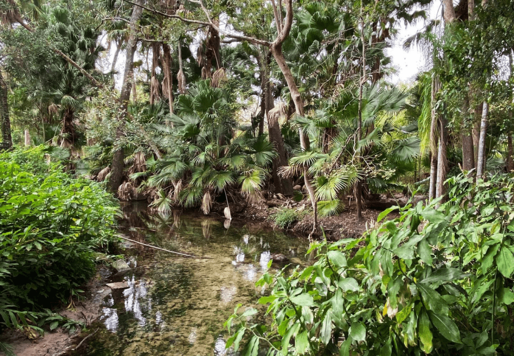 valentines-day-orlando-mead-gardens | CuddlyNest Travel Blog Mead Botanical Garden, Orlando, Florida
