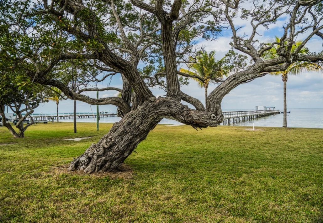 Florida's South West Coast on Pine Island. A hidden gem for anyone looking to getaway on a Florida trip.