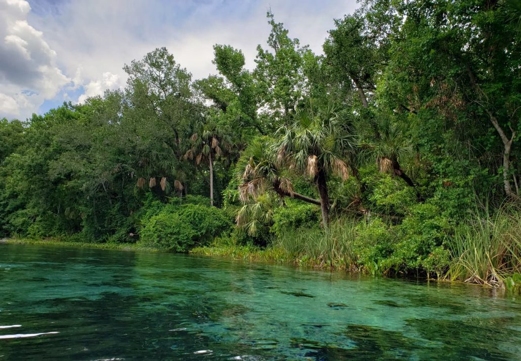 Alexander Springs in the Ocala National Forest.