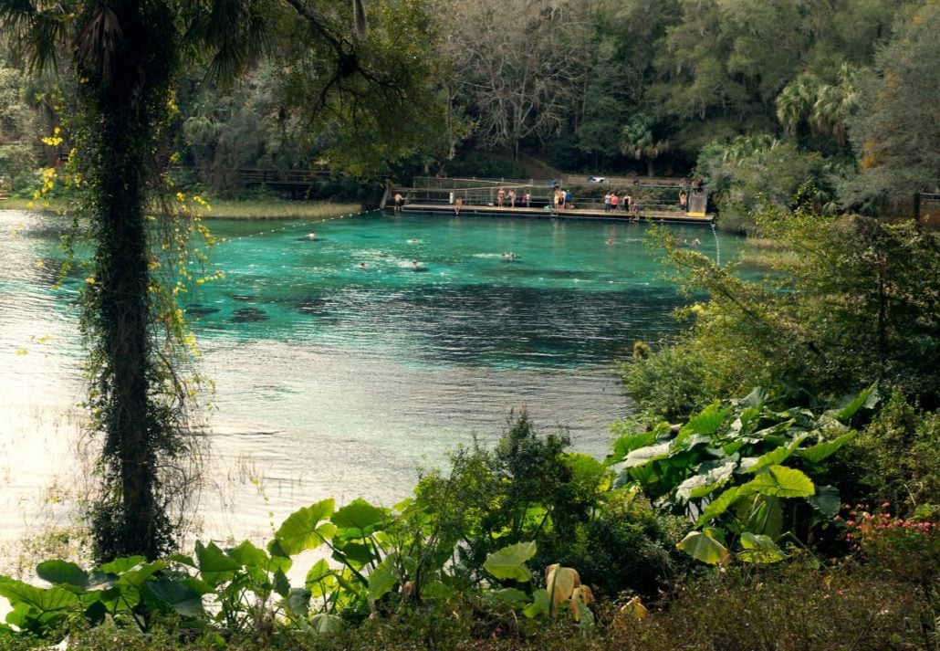 Rainbow Springs State Park, Florida, USA