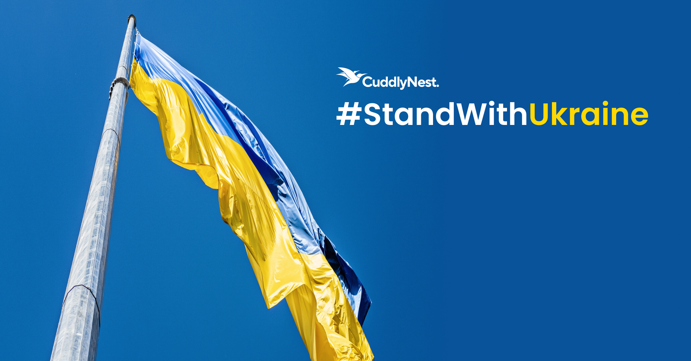 CuddlyNest to suspend operations in Russia and Belarus StandwithUkraine