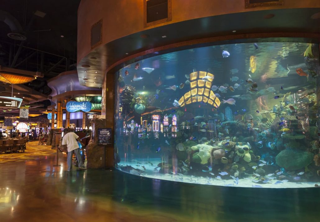Silverton Aquarium in Las Vegas, Nevada, USA.