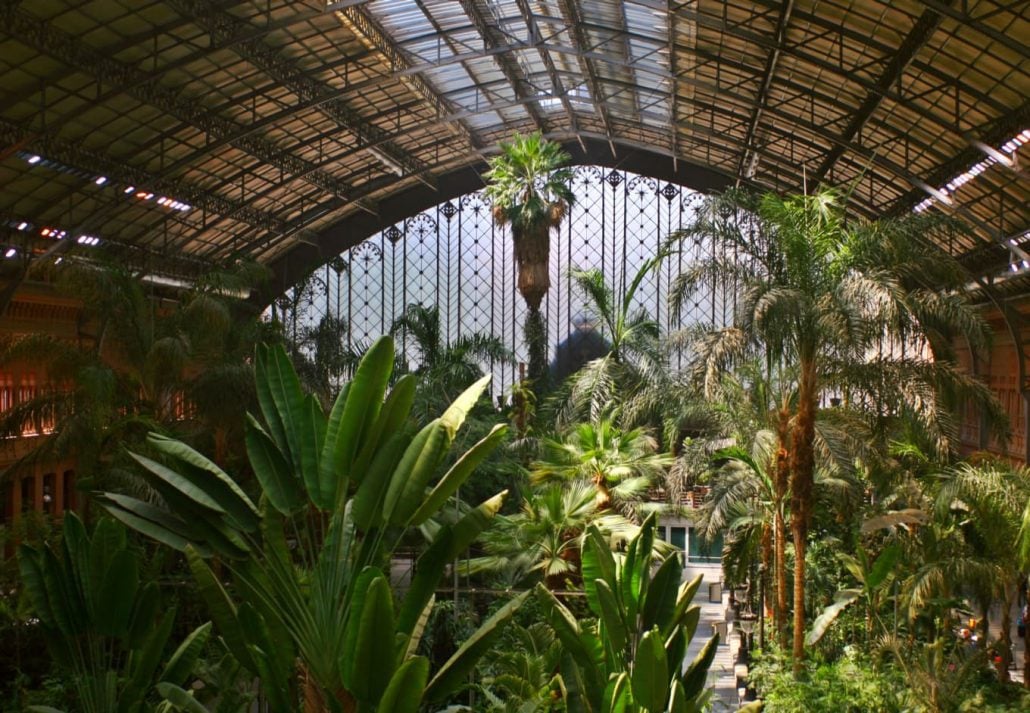 The Tropical Garden At Atocha Train Station, Madrid, Spain.