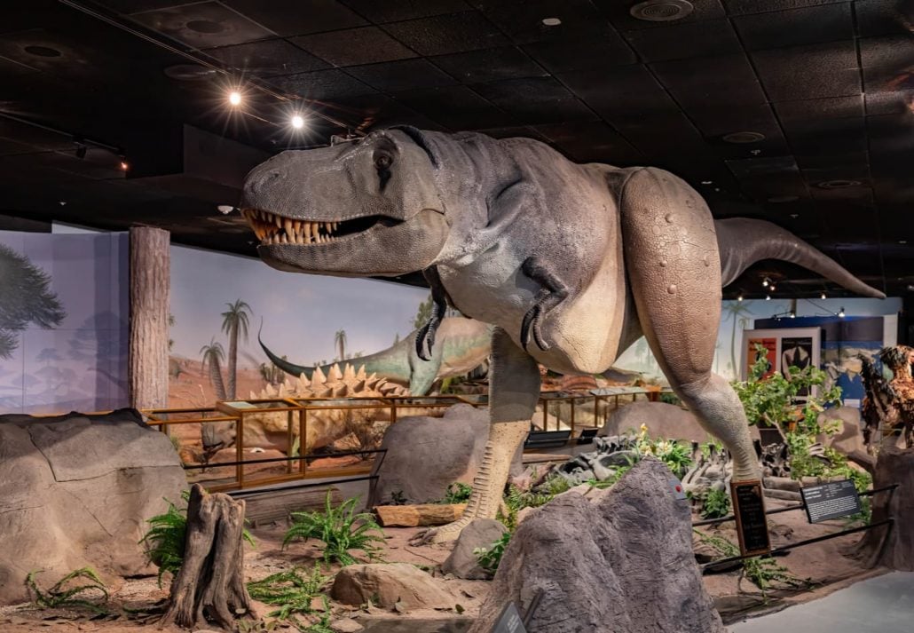Interior view of the Las Vegas Natural History Museum, Las Vegas, USA.