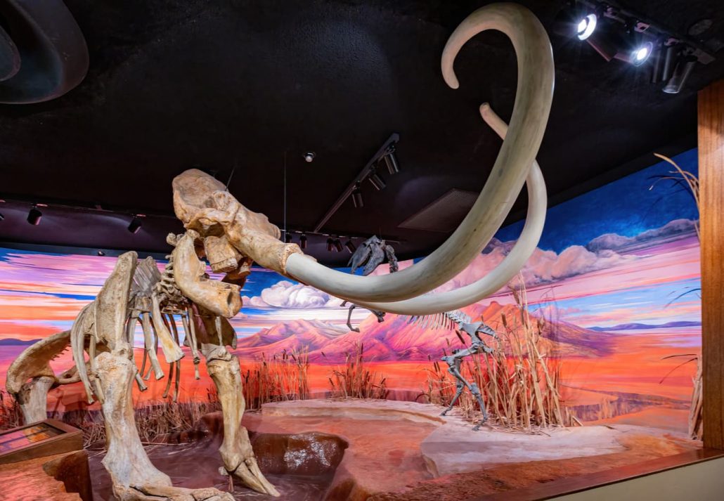 Interior view of the Nevada State Museum, Las Vegas, USA.