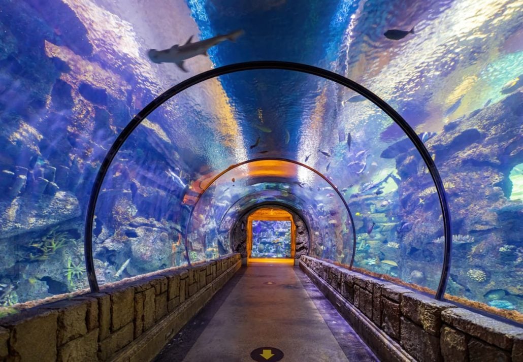 Shark Reef Aquarium, Las Vegas, Nevada