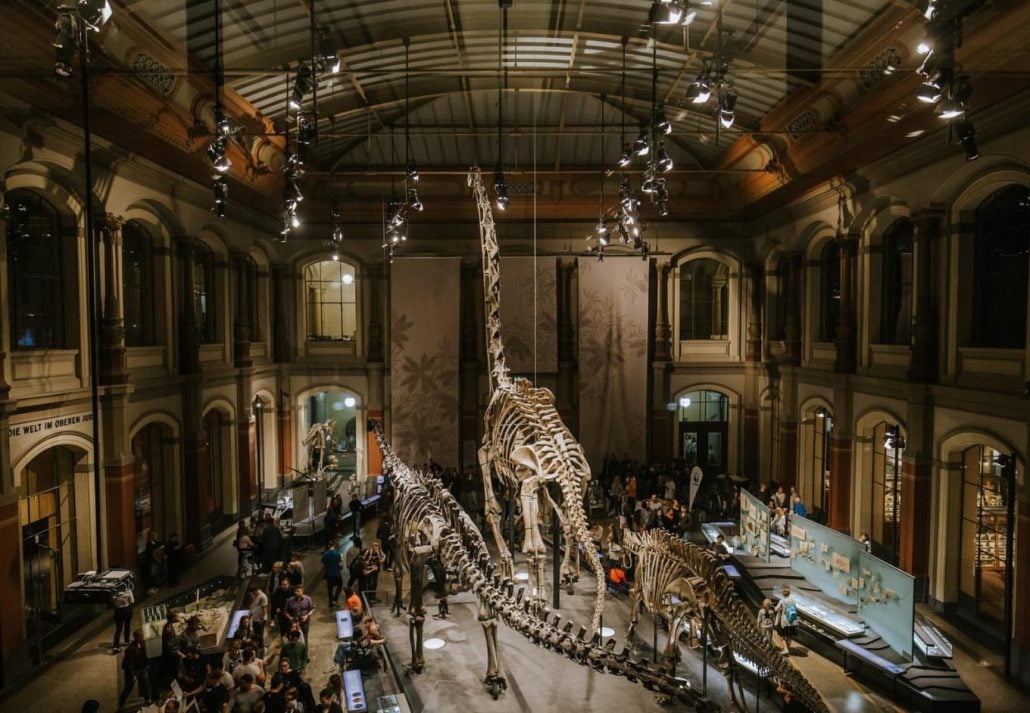 Dinosaur fossil replica showcased in Berlin's museum