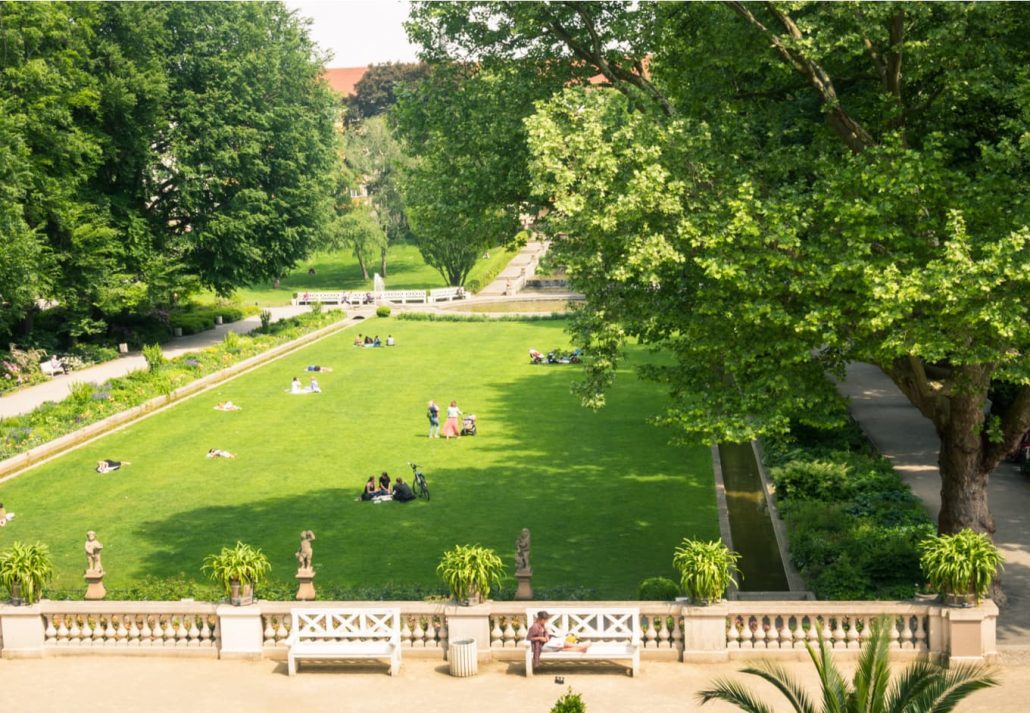 Vast green landscape in Korner Park