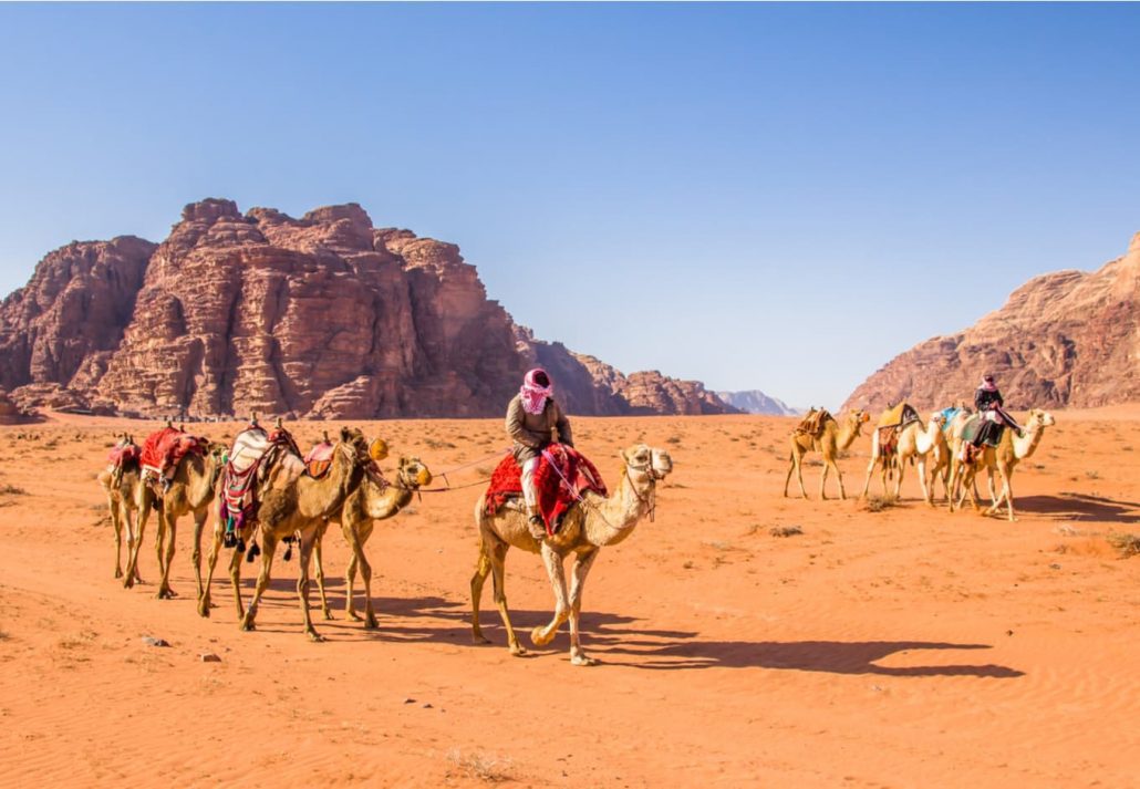 Camel tour in Wadi Rum