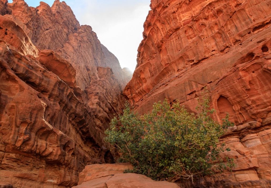 Jordan Wadi Rum canyon