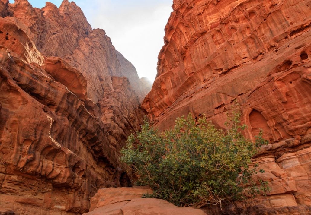 Jordan Wadi Rum canyon