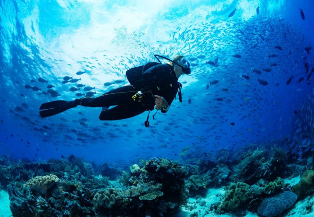 A person scuba diving at the bottom of the ocean