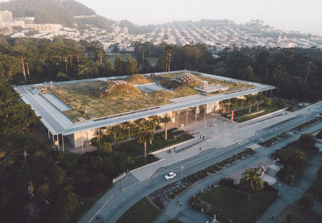 Top 8 Museums In San Francisco- California Academy of Sciences