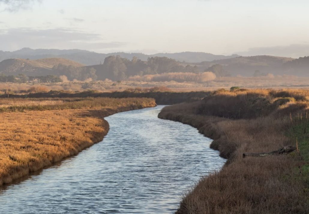 Pescadero Marsh Nature Preserve, in California.