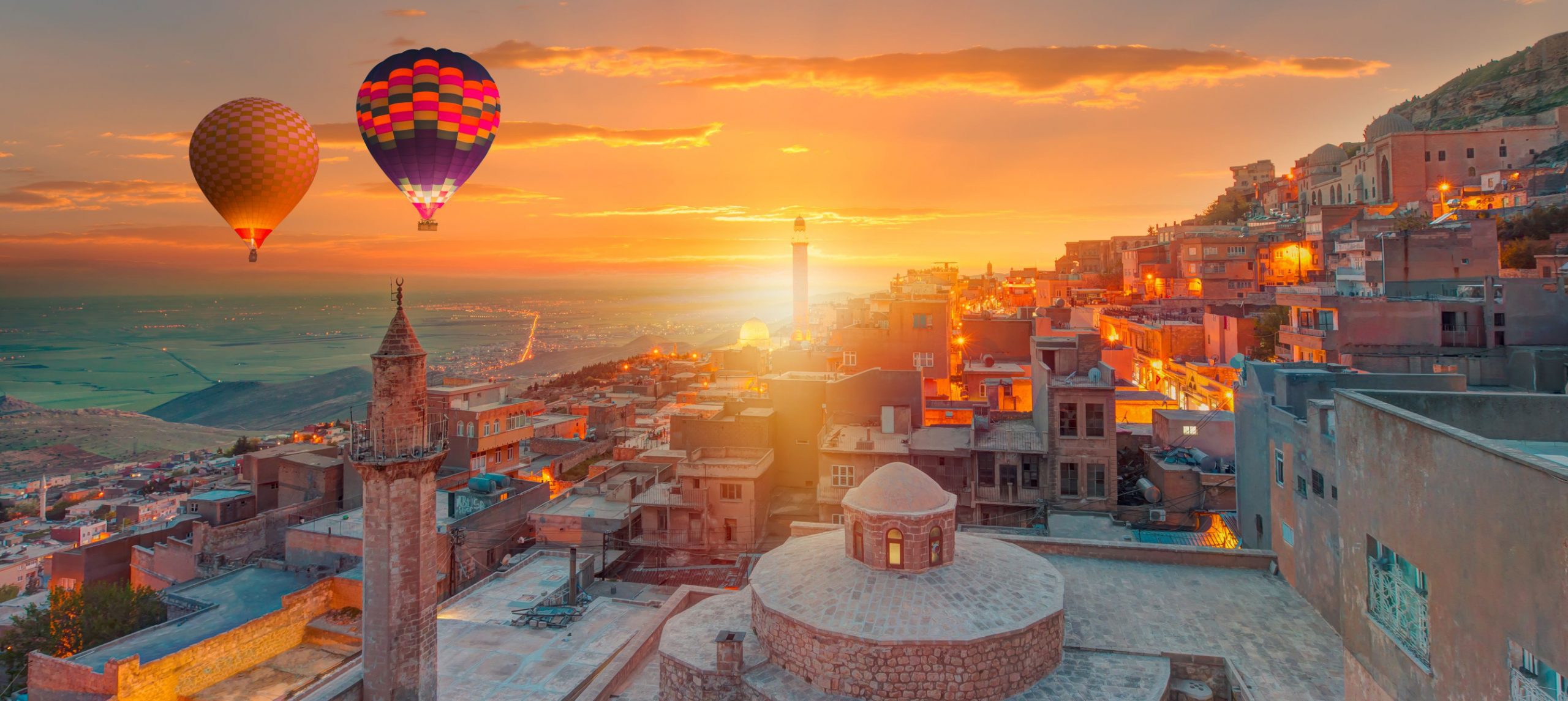 turkey during sunset