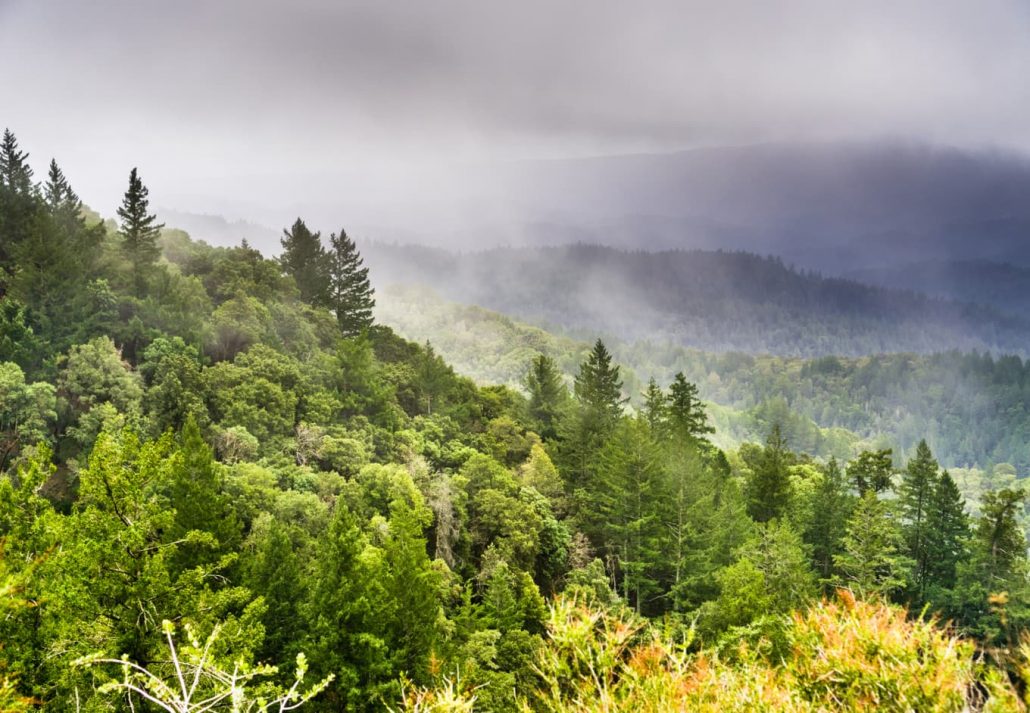 Castle Rock State Park, California.