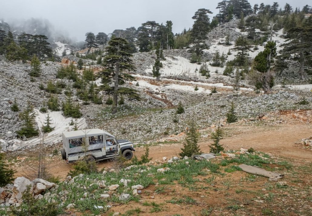 Jeep Safari to Taurus Mountains