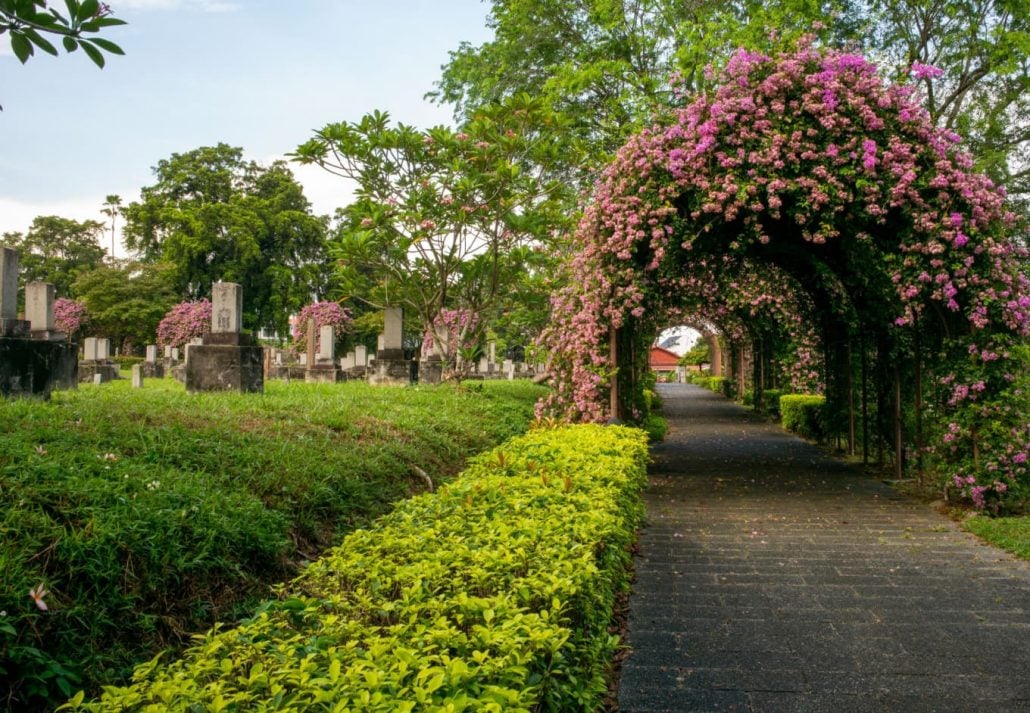 Tunnel of pink flowers in the Japanese Cemetery Park