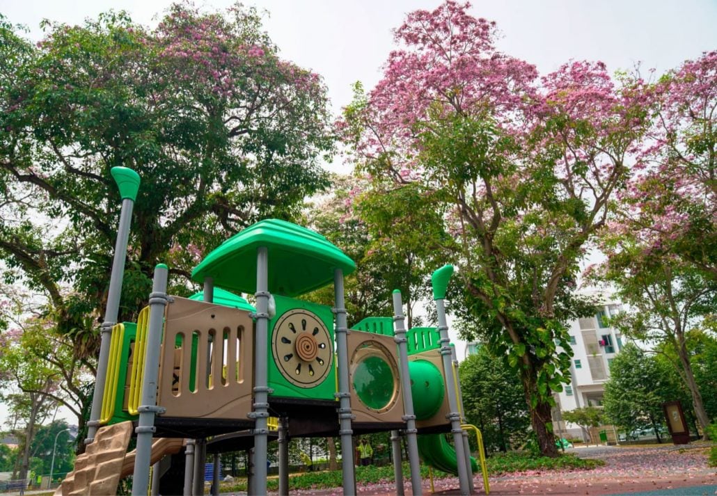 Tiong Bahru Park filled with pink trumpet flowers.