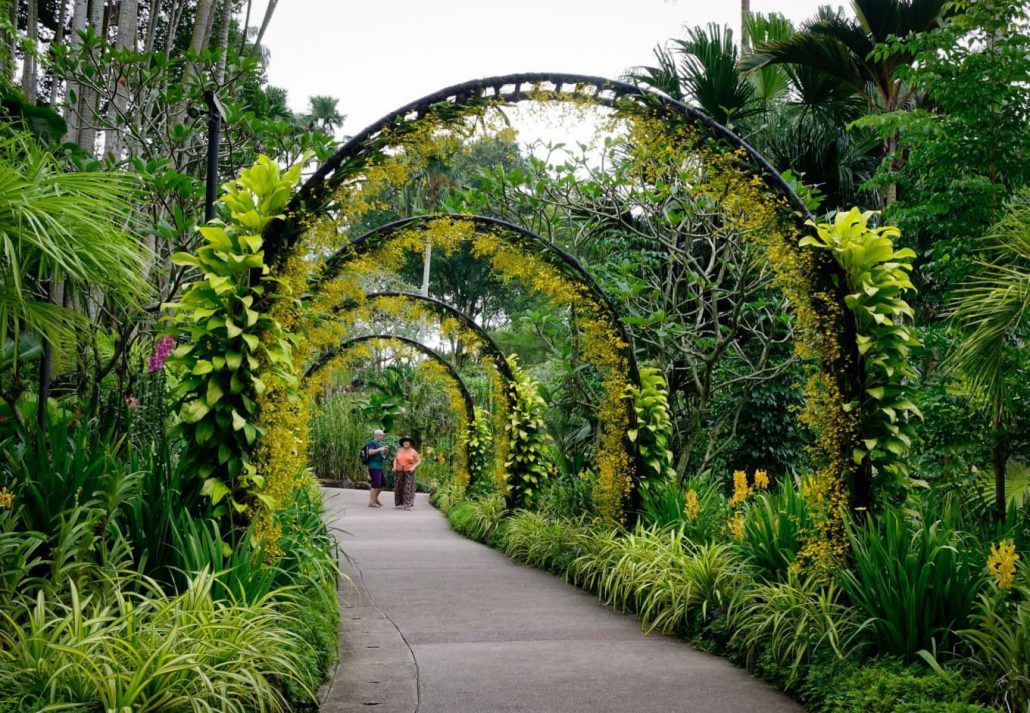 Singapore Botanic Gardens.
