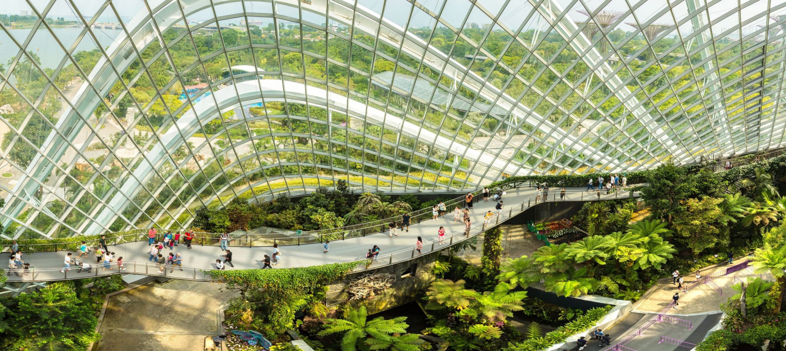 Singapore's Garden By The Bay.