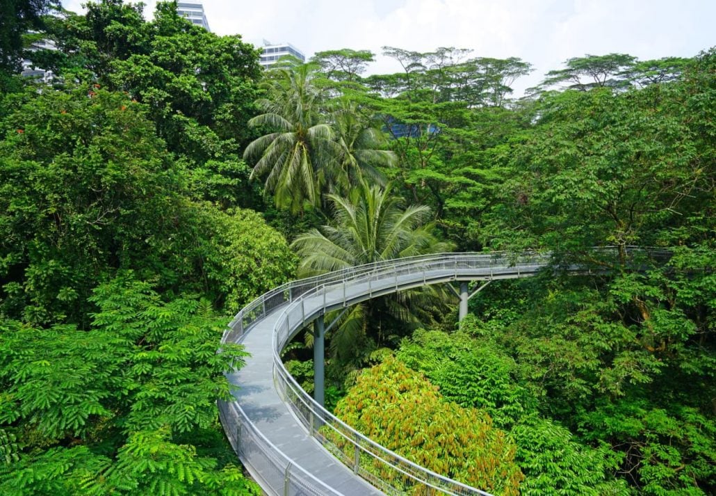 Singapore's Southern Ridges.