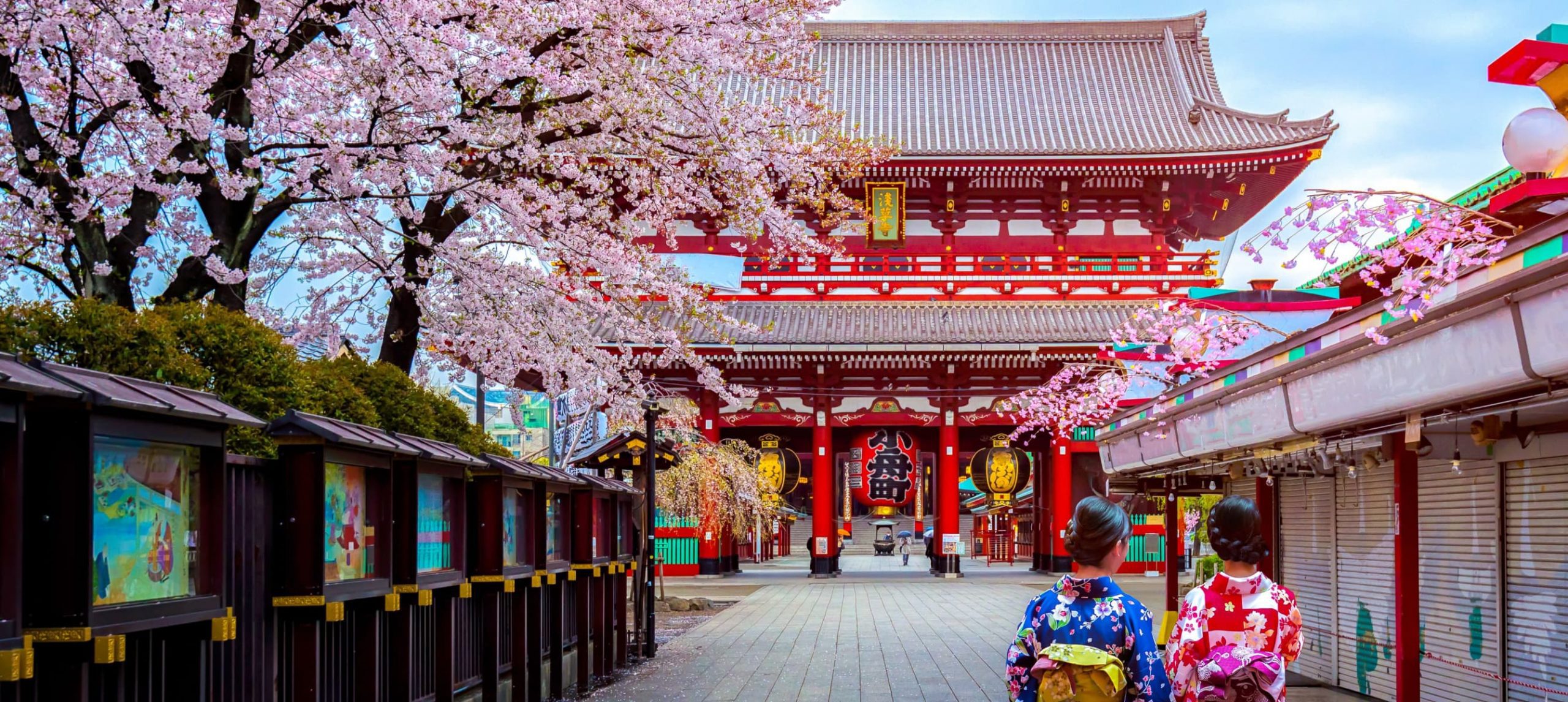 Japan covered in cherry blossoms