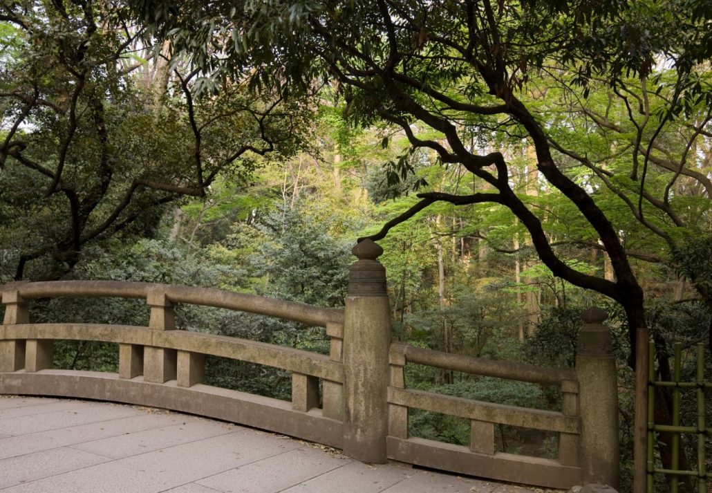 Tokyo yoyogi park