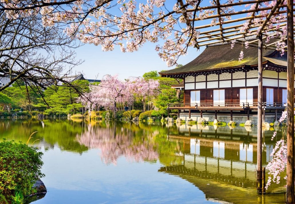 Kyoto's Heian Shrine surrounded by cherry trees during springtime.