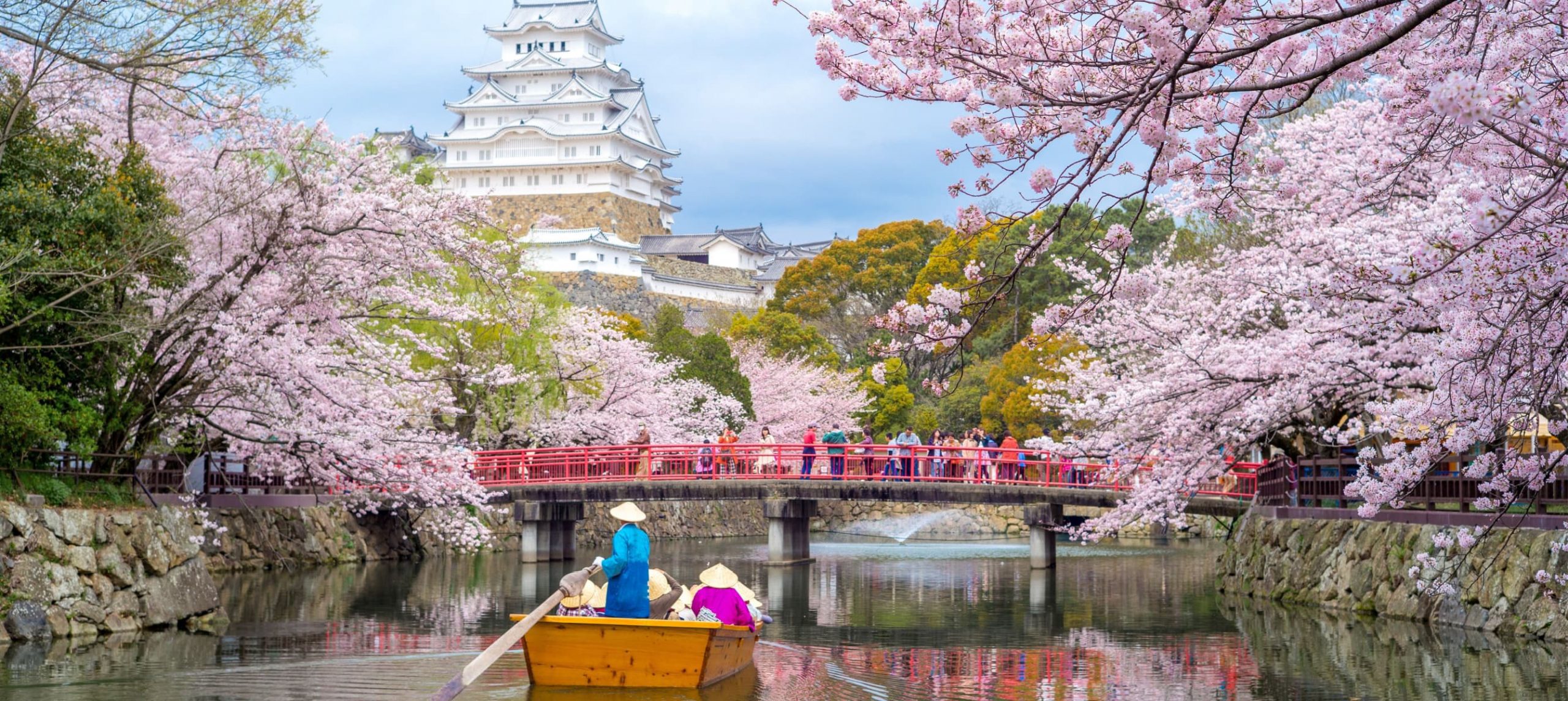 Boat navigating through a canal surrounded by cherry trees, in Kyoto.