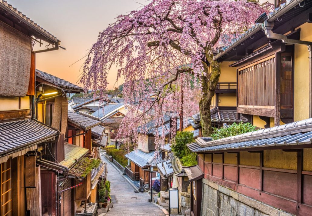 Kyoto's Geisha distric filled with cherry trees during springtime.