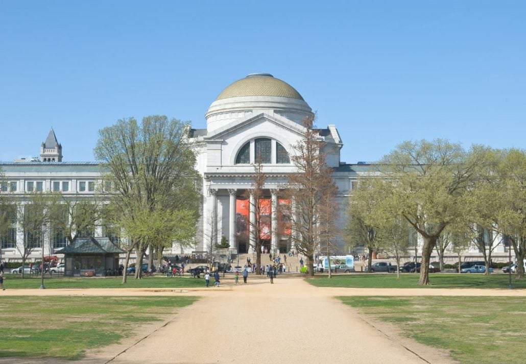 Americal Museum Of Natural History