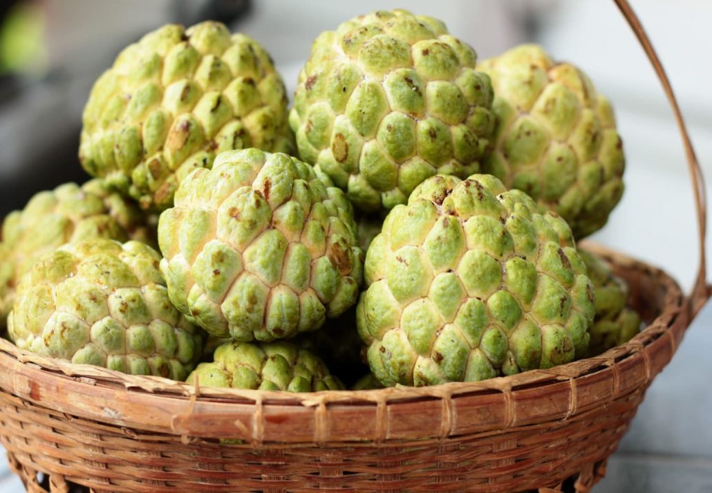 Custard apple