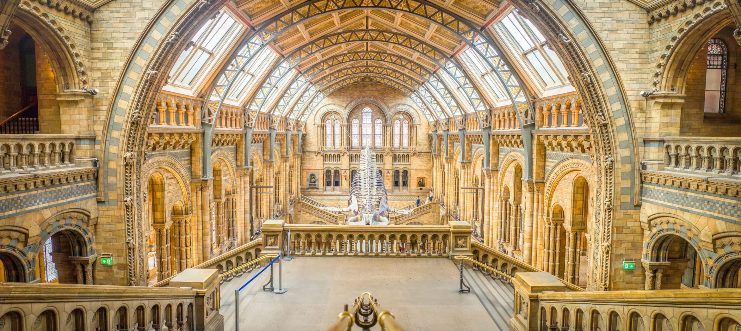 Natural History Museum, in London, Uk.