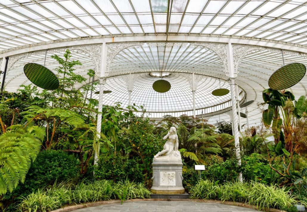 Glasgow Botanic Gardens, in Scotland.