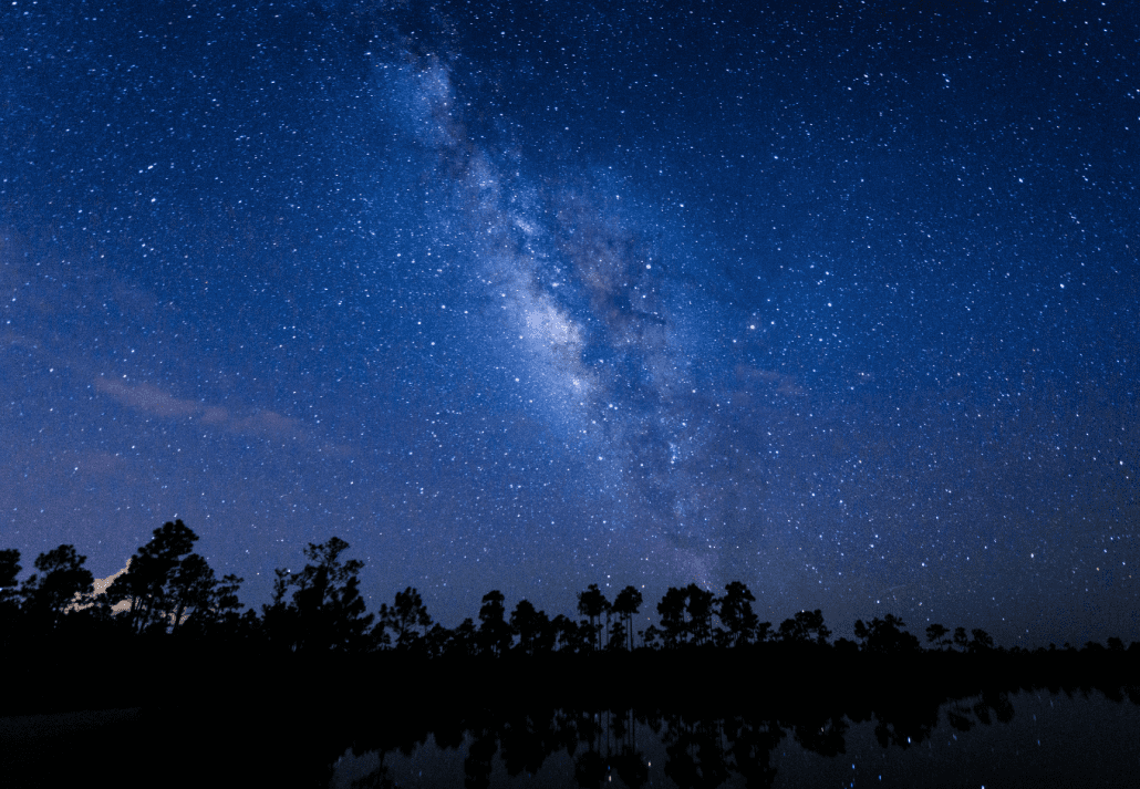 Everglades National Park Night Sky