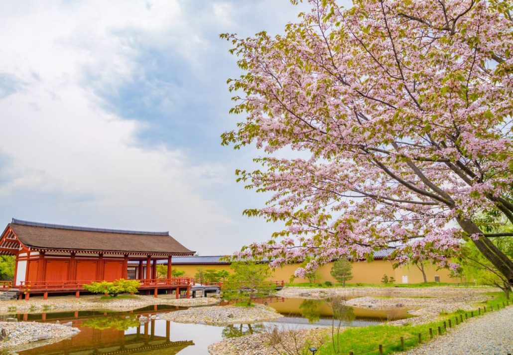 Nara's Heijo Palace filled with cherry blossoms.