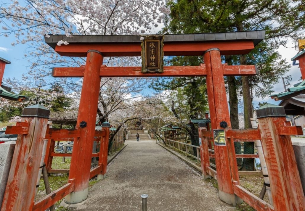 Nara Himuro-jinja Shrine covered in cherry blossoms during springtime in Nara, Japan.