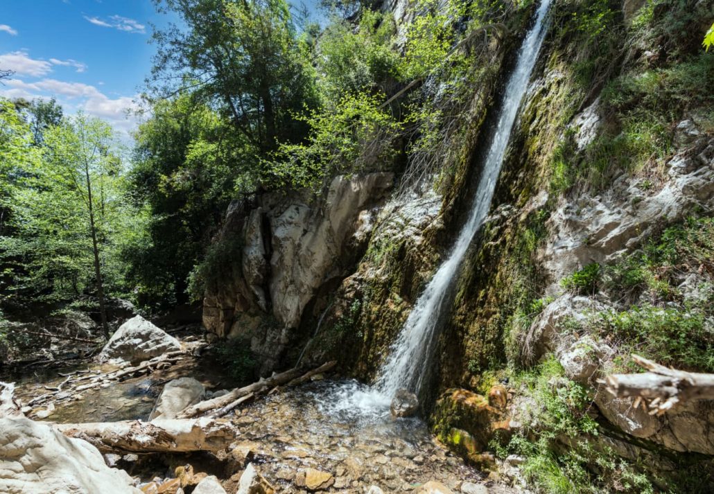 Angeles National Forest, in Los Angeles, California.