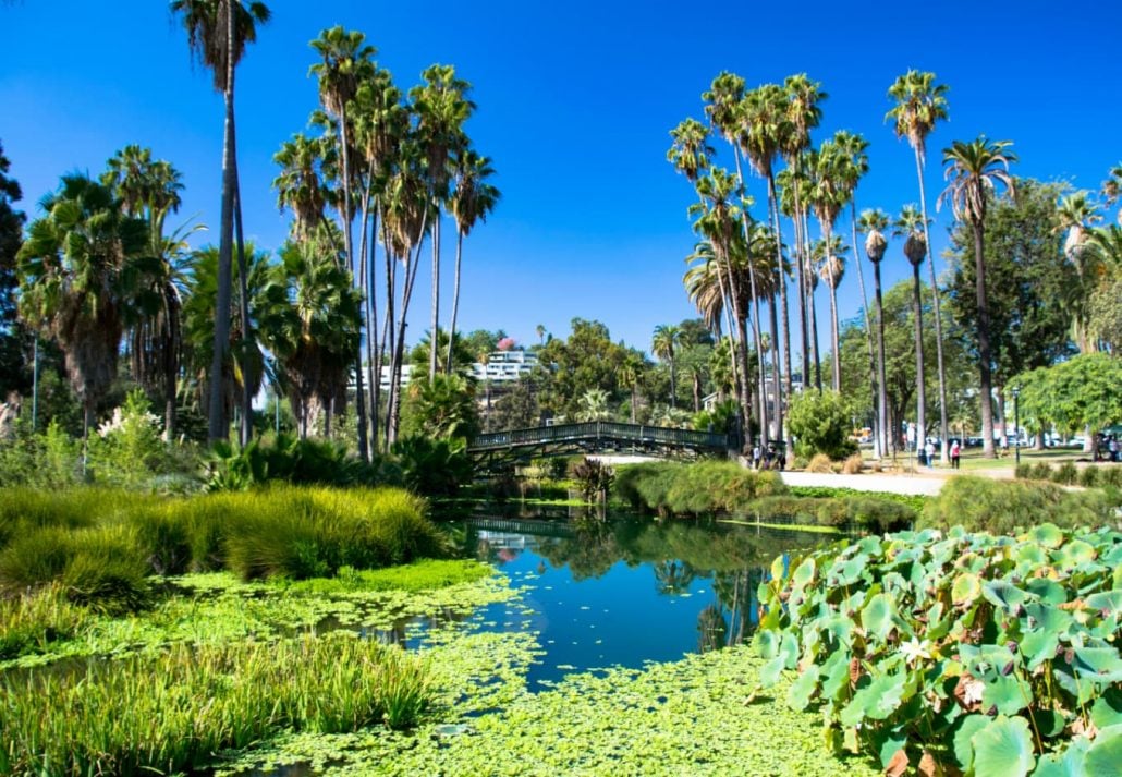 Echo Park Lake, Los Angeles, California.