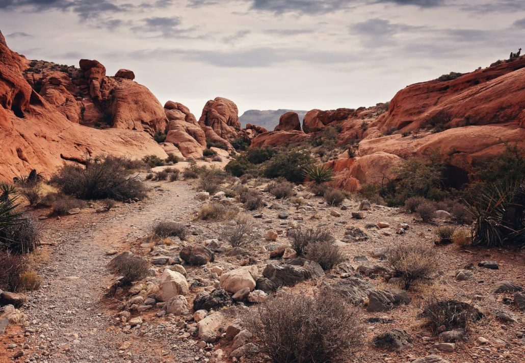 Red Rock Canyon, Las vegas nevada