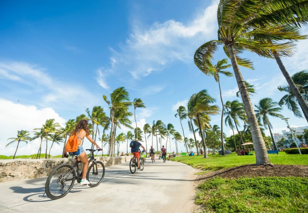 best-time-to-visit-miami-lummus-park | CuddlyNest Travel Blog Two people biking on a promenade lined by palm trees in Miami, Florida.