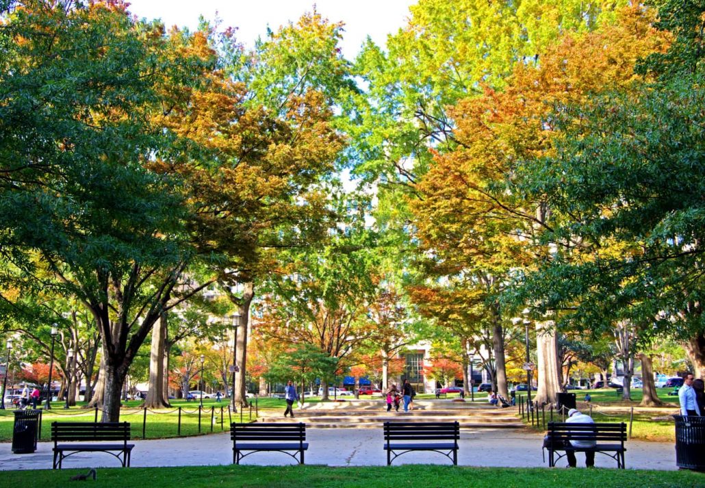 a park in DC during fall