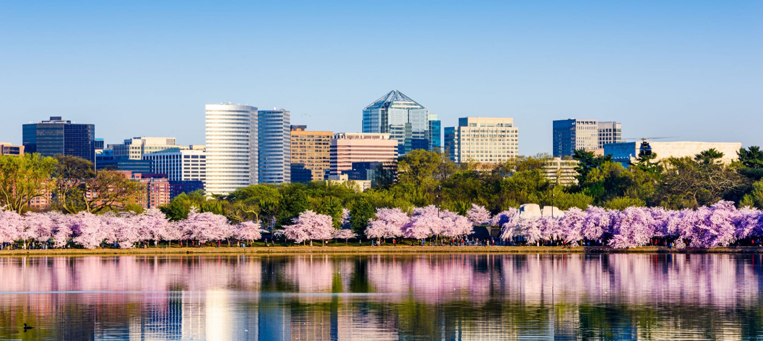The Best Time To Visit Washington DC