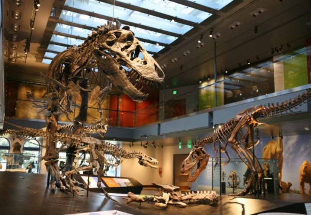 Natural History Museum Of Los Angeles County
