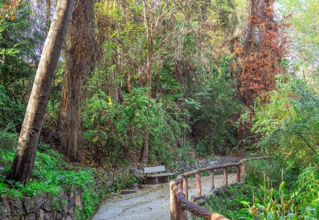 Griffith park los angeles