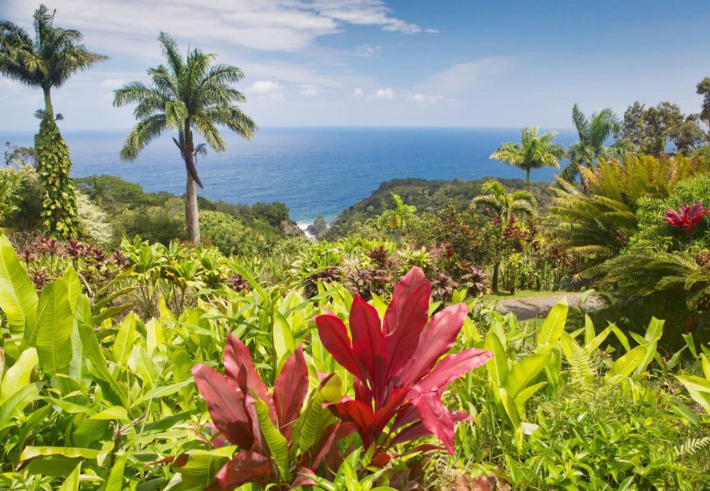 Garden of Eden Arboretum, Maui.