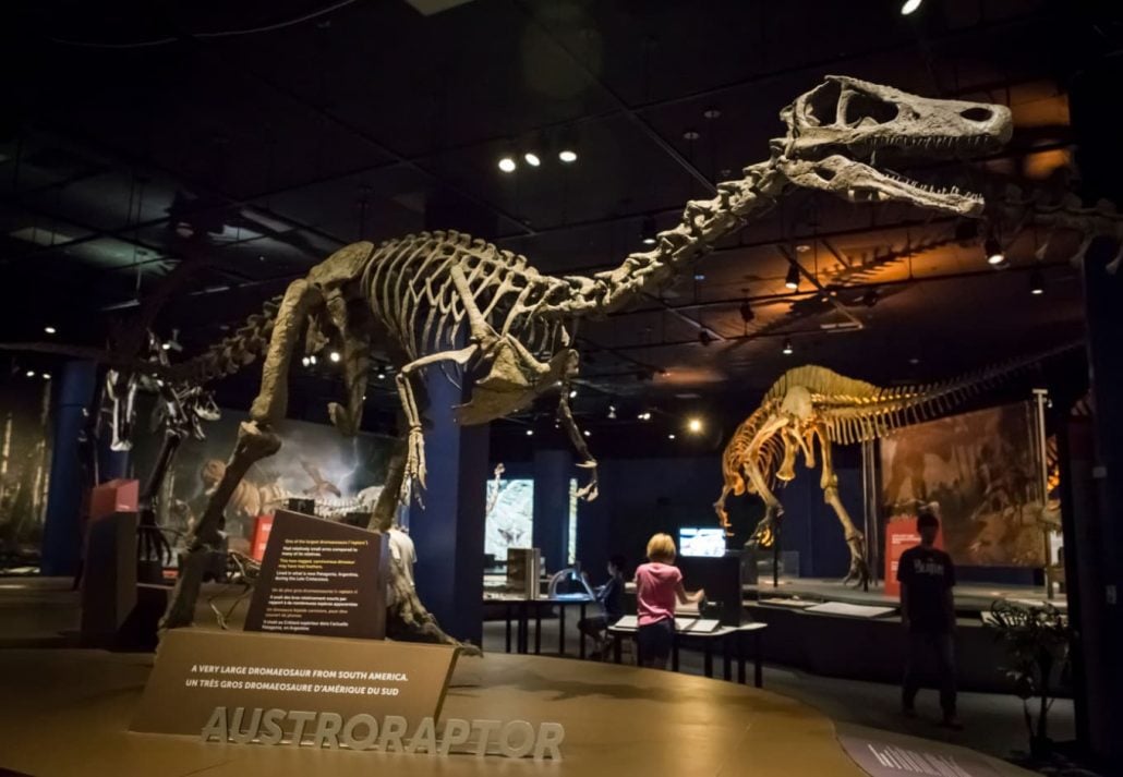 San Diego Natural History Museum, in San Diego, California.