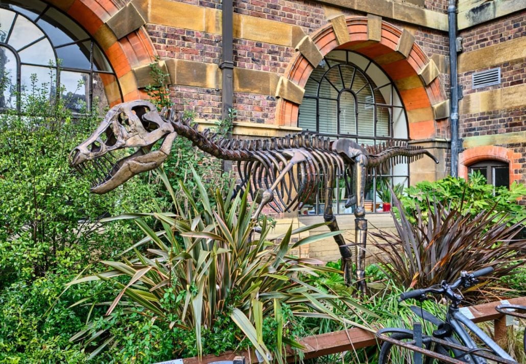 The Sedgwick Museum of Earth Sciences, in Cambridge, UK.